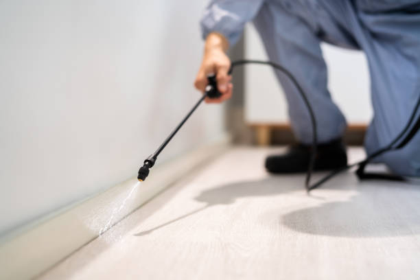 Certified termite inspector examining foundation in Inola