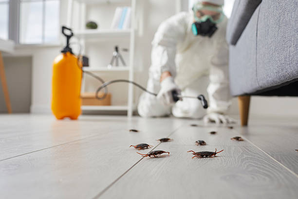 Commercial Kitchen Cockroach Control in Inola